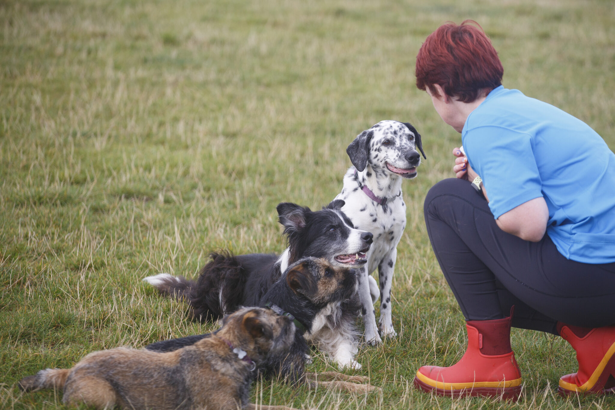 About Us | Ruff Diamond Dog Training